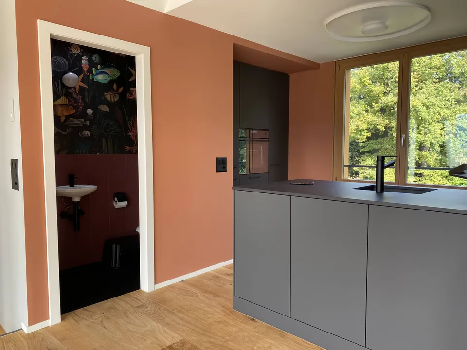 Küche mit terrakottafarbener Wand und Durchgang zum WC