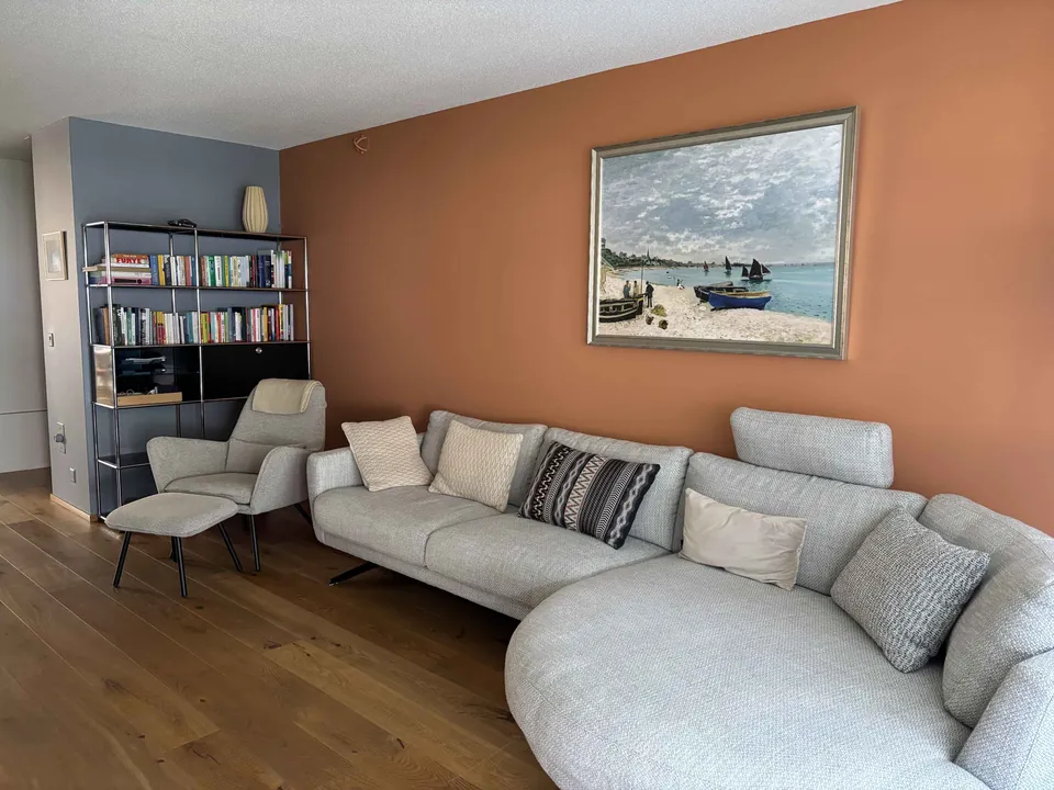Wohnzimmer mit terrakottafarbener Wand und grauem Sofa